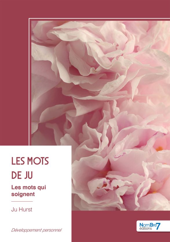 Couverture livre Julie Hurst Tome 1